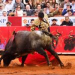 Ciudad de México, 12 de diciembre de 2019. Corrida Guadalupana.