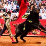 Ciudad de México, 12 de diciembre de 2019. Corrida Guadalupana.