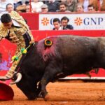 Ciudad de México, 12 de diciembre de 2019. Corrida Guadalupana.