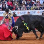 Ciudad de México, 12 de diciembre de 2019. Corrida Guadalupana.