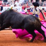 Ciudad de México, 12 de diciembre de 2019. Corrida Guadalupana.