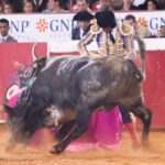 Ciudad de México, 12 de diciembre de 2019. Corrida Guadalupana.