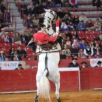 Ciudad de México. Domingo, 29 de diciembre de 2019.