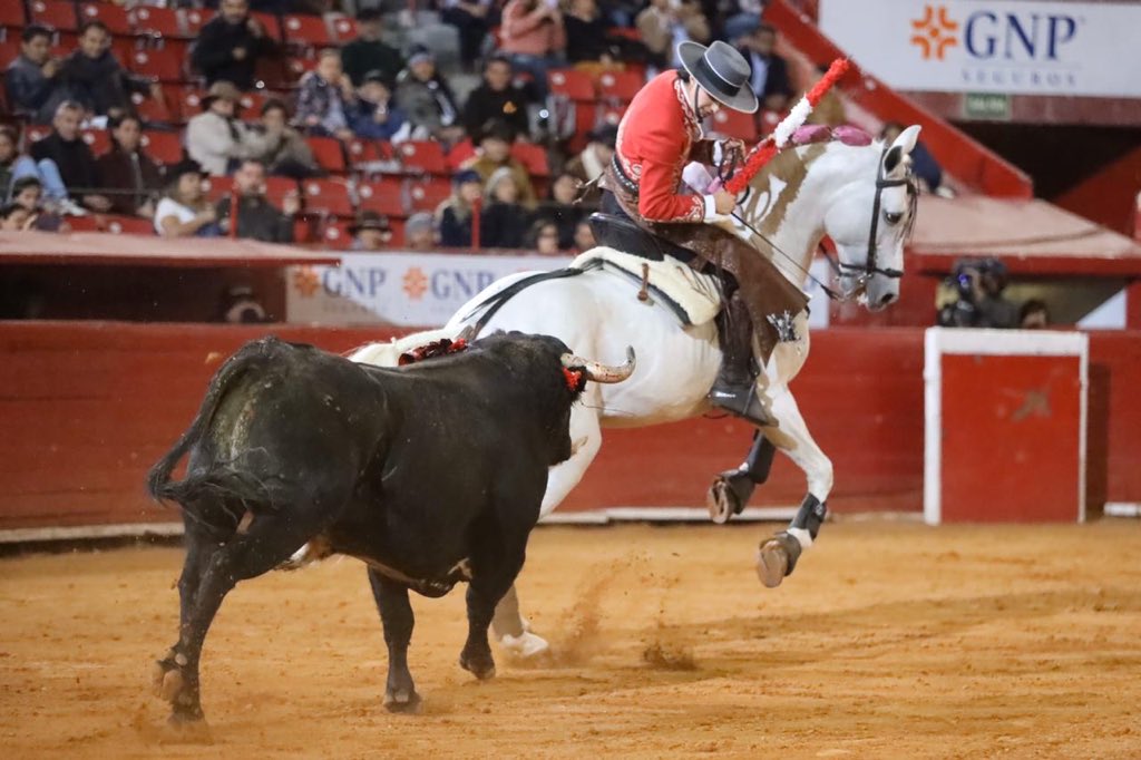 Ciudad de México. Domingo, 29 de diciembre de 2019.