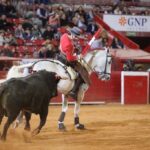 Ciudad de México. Domingo, 29 de diciembre de 2019.