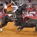 Ciudad de México. Domingo, 29 de diciembre de 2019.