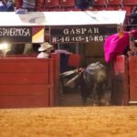 Ciudad de México. Domingo, 29 de diciembre de 2019.