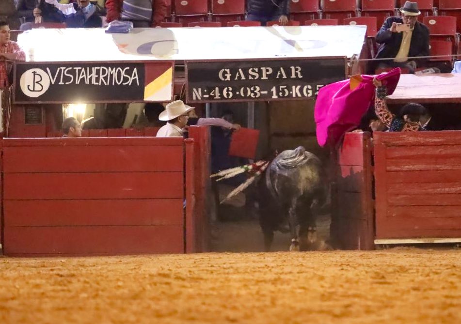 Ciudad de México. Domingo, 29 de diciembre de 2019.