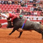 Ciudad de México. Domingo, 29 de diciembre de 2019.