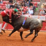 Ciudad de México. Domingo, 29 de diciembre de 2019.