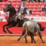 Ciudad de México. Domingo, 29 de diciembre de 2019.