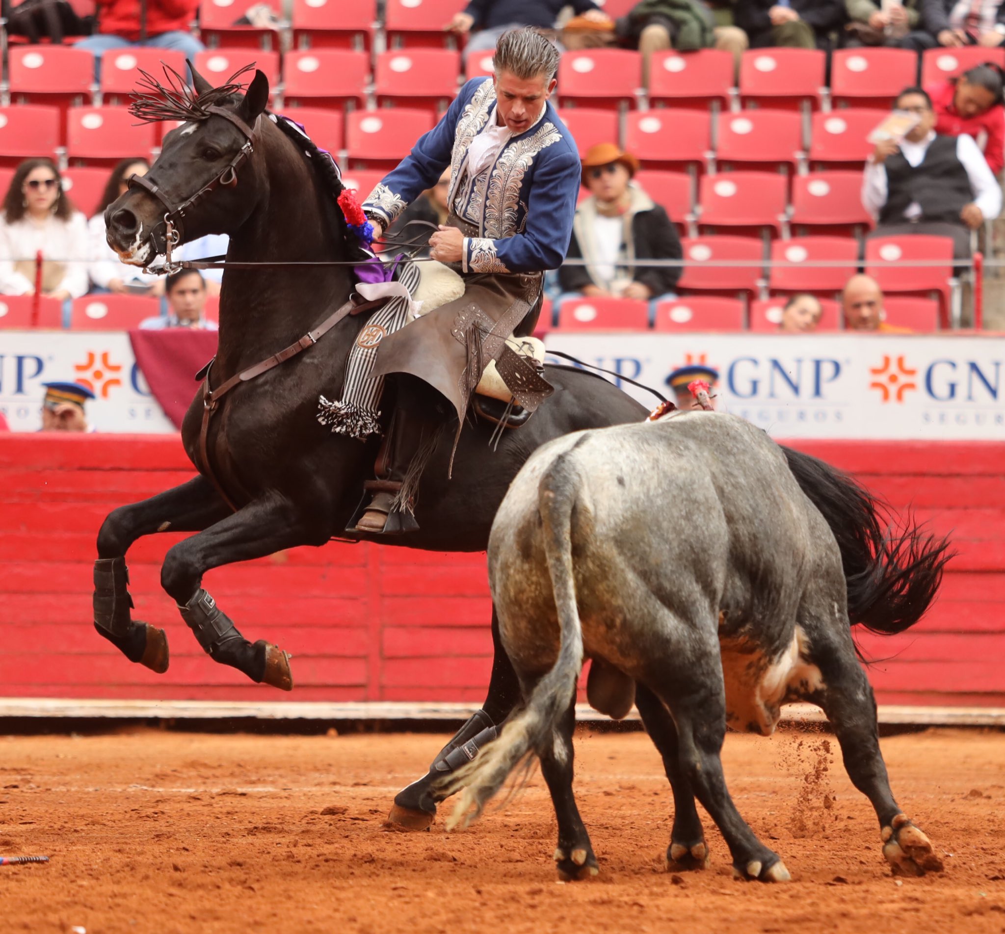 Ciudad de México. Domingo, 29 de diciembre de 2019.