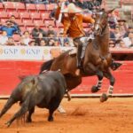 Ciudad de México. Domingo, 29 de diciembre de 2019.