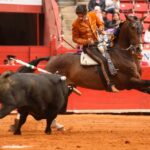 Ciudad de México. Domingo, 29 de diciembre de 2019.