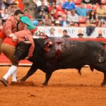 Ciudad de México. Domingo, 29 de diciembre de 2019.