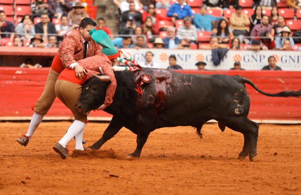 Ciudad de México. Domingo, 29 de diciembre de 2019.