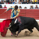 Latacunga (Ecuador). Jueves, 5 de diciembre de 2019.