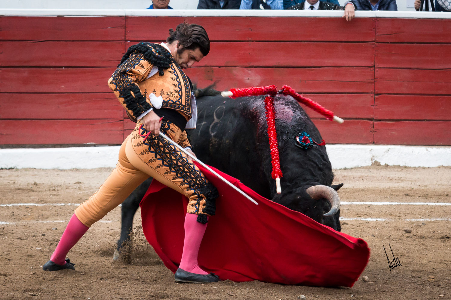 Alejandro Talavante sustituye a Morante en Latacunga