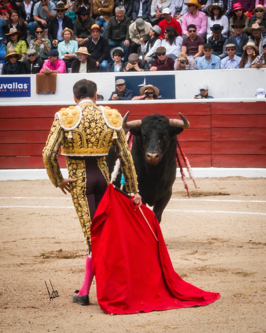 Latacunga (Ecuador), viernes 6 de diciembre de 2019