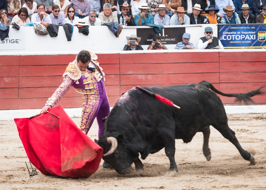 Latacunga (Ecuador), viernes 6 de diciembre de 2019