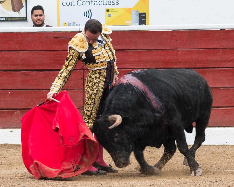Latacunga (Ecuador), viernes 6 de diciembre de 2019
