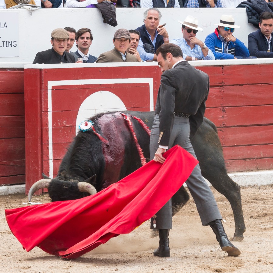 Latacunga (Ecuador),sábadoi 7 de diciembre de 2019