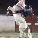 Calvillo, Aguascalientes (México). Sábado 7 de diciembre de 2019