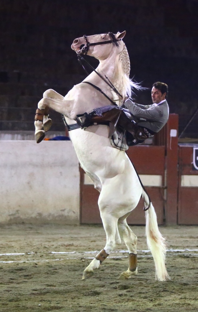 Calvillo, Aguascalientes (México). Sábado 7 de diciembre de 2019