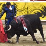 Cali, viernes 27 de diciembre de 2019