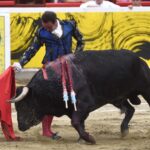 Cali, viernes 27 de diciembre de 2019