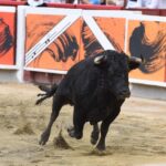 Cali, viernes 27 de diciembre de 2019