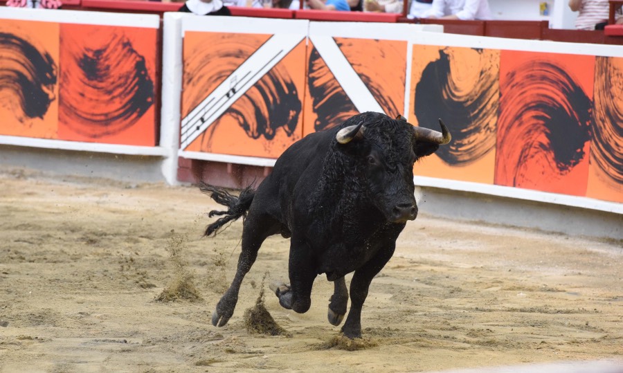 Cali, viernes 27 de diciembre de 2019