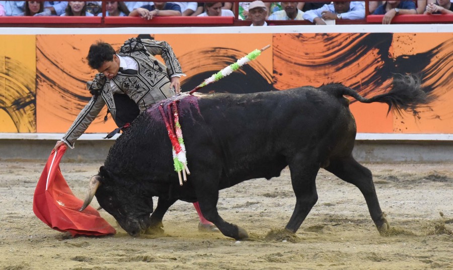 Cali, viernes 27 de diciembre de 2019