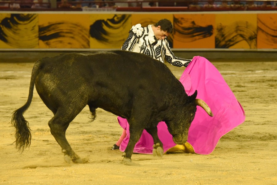 Cali, viernes 27 de diciembre de 2019