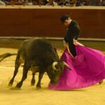 Cali, sábado 28 de diciembre de 2019