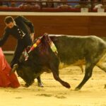 Cali, sábado 28 de diciembre de 2019