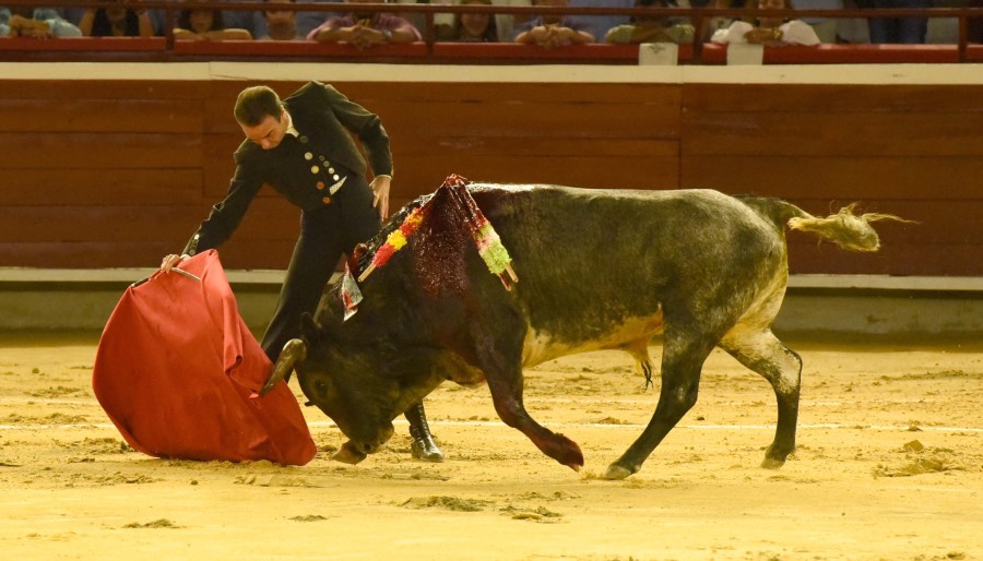 Cali, sábado 28 de diciembre de 2019