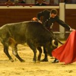 Cali, sábado 28 de diciembre de 2019