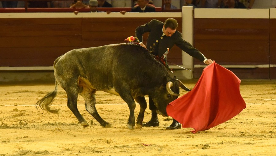 Cali, sábado 28 de diciembre de 2019