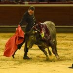 Cali, sábado 28 de diciembre de 2019