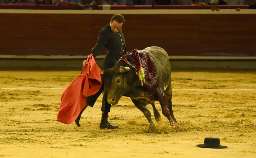 Cali, sábado 28 de diciembre de 2019