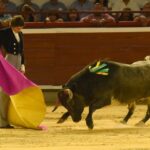 Cali, sábado 28 de diciembre de 2019