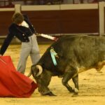 Cali, sábado 28 de diciembre de 2019