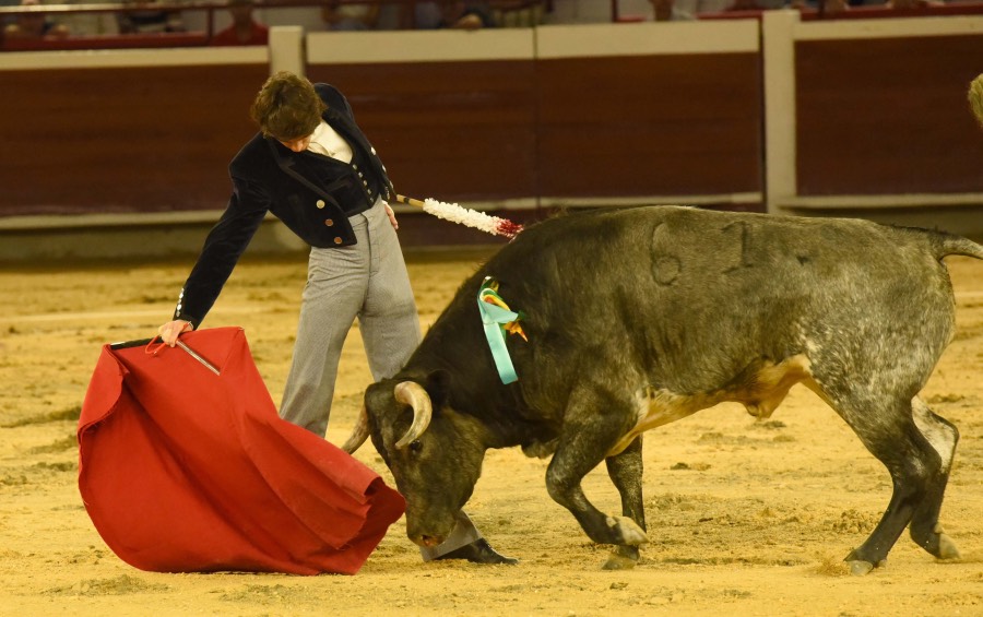 Cali, sábado 28 de diciembre de 2019