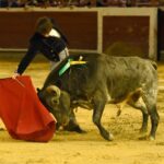 Cali, sábado 28 de diciembre de 2019