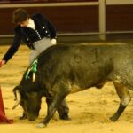 Cali, sábado 28 de diciembre de 2019