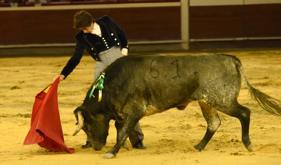 Cali, sábado 28 de diciembre de 2019