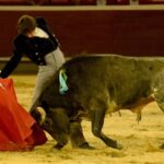 Cali, sábado 28 de diciembre de 2019