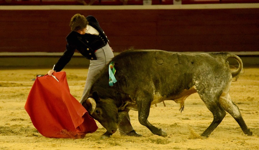 Cali, sábado 28 de diciembre de 2019