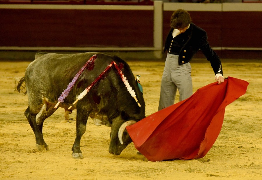 Cali, sábado 28 de diciembre de 2019